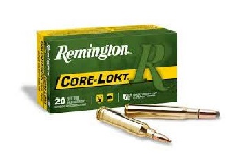6mm Remington Ammo for Sale